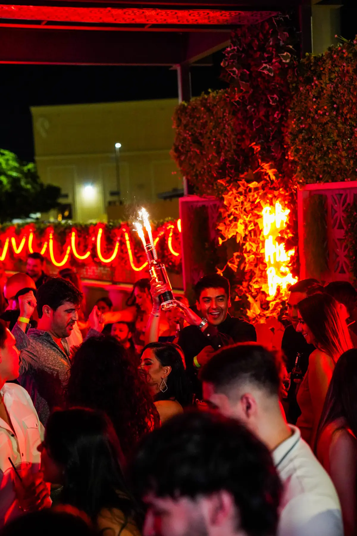 Garden of Eden lights and nightlife detail